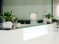 Ресепшн для входной группы бизнес-центра