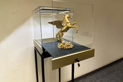 Витрина в центр зала премиум с опорами из стали.
	