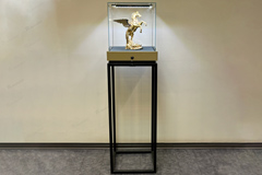 Торговая витрина для ювелирных украшений
	